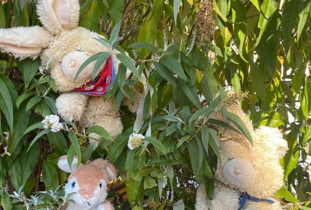 AWO-Kindergarten Sonnenschein | AWO Oberbayern e.V.